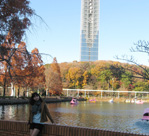 スカイタワーと池と紅葉