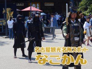 忍者隊（徳川家康と服部半蔵忍者隊）