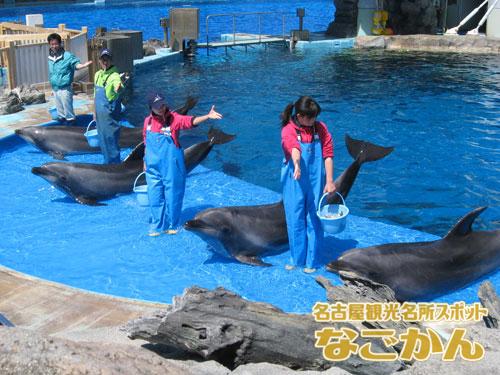 名古屋港水族館