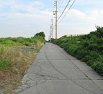 日間賀島の風景