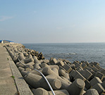 日間賀島の風景