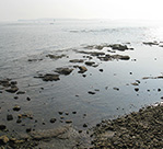 日間賀島の風景
